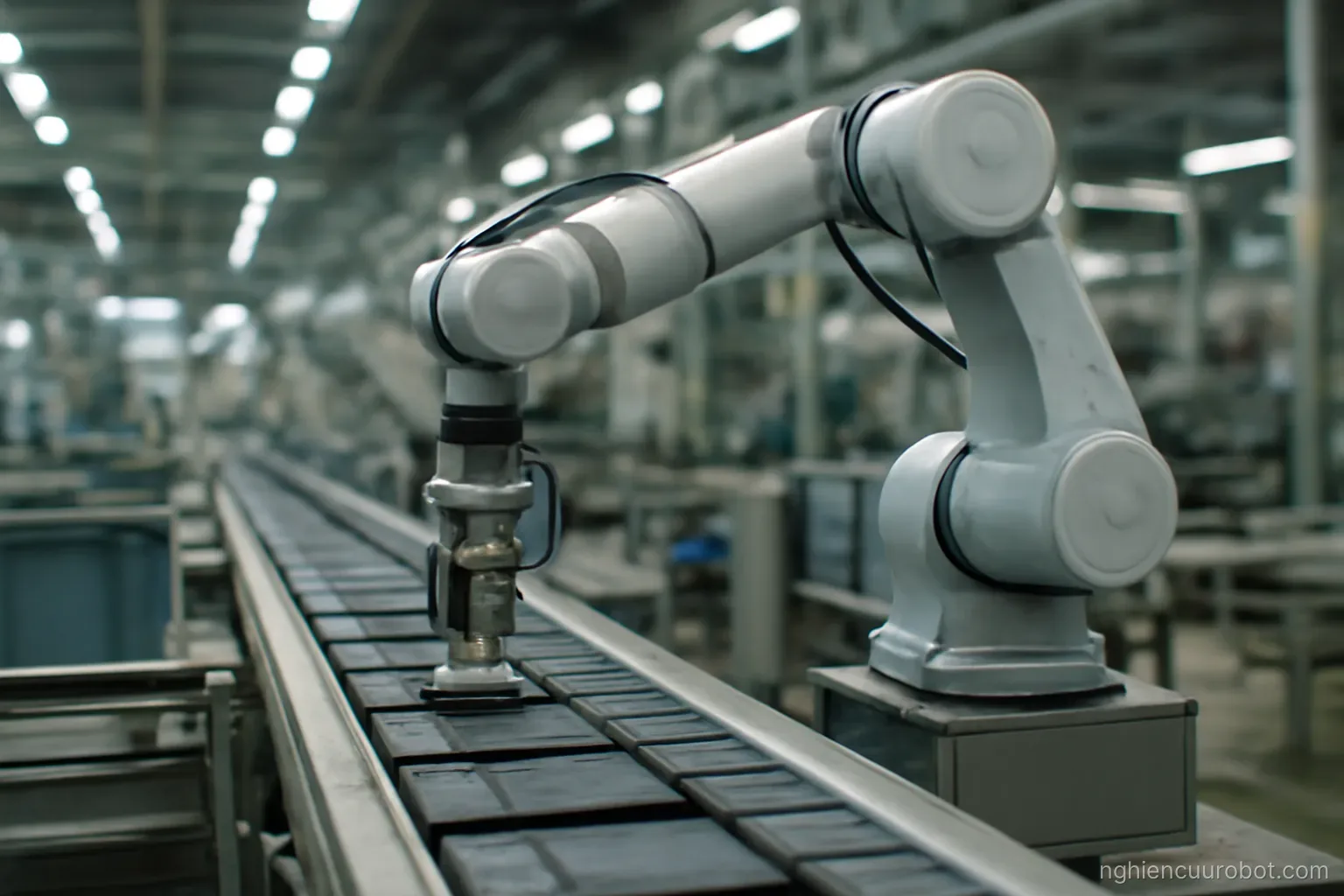 Robot làm việc trong môi trường sản xuất thật
